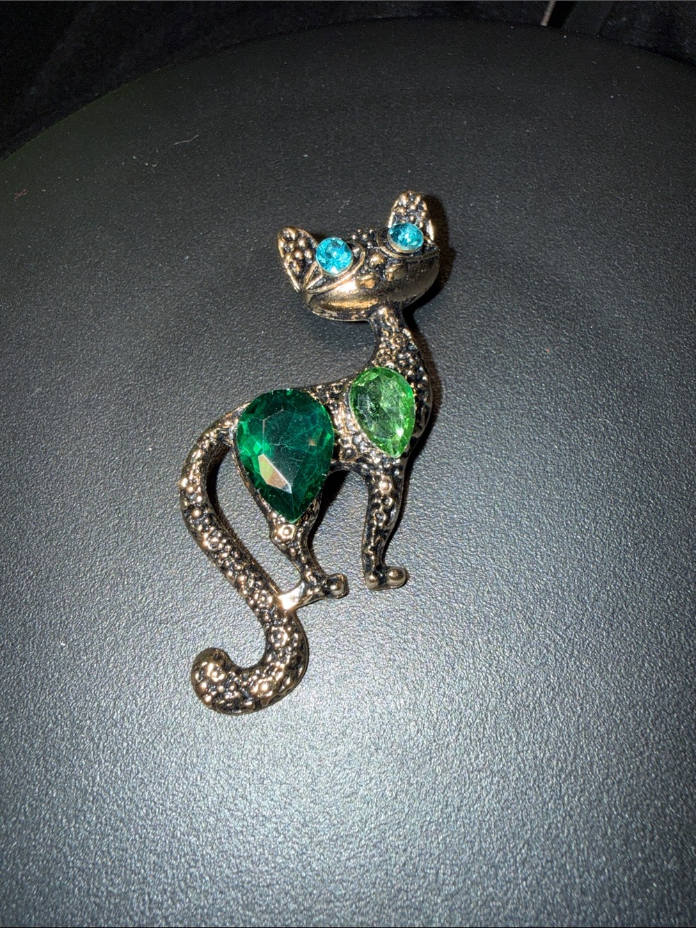 spooky cat